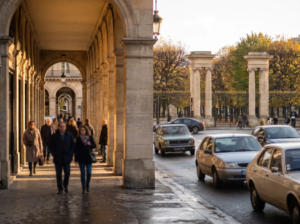 Débarras de cave à Paris 1er — quartier Louvre